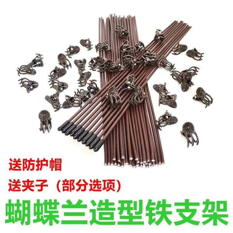 蝴蝶兰专用支架固定防倒伏植物支撑杆花卉盆栽造型铁丝支柱夹子