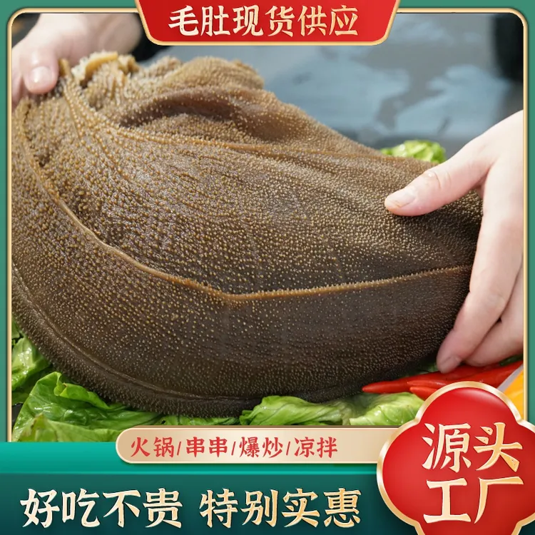整块毛肚带底板牛肚新鲜爽脆牛百叶黑白千层肚商用 固形物含量60%