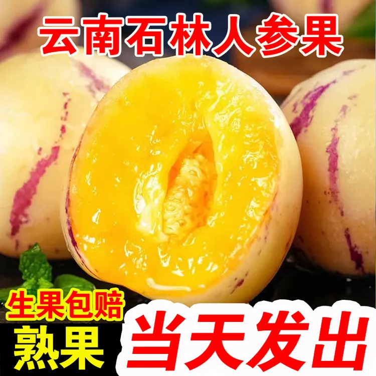 【树上自然熟】云南石林人参果圆果黄果黄肉低糖新鲜当季孕妇水果