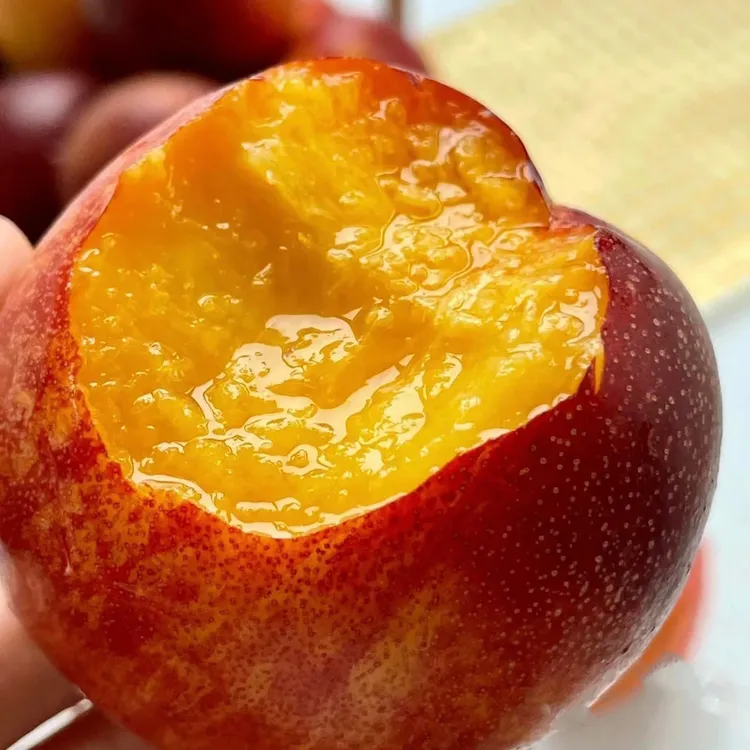 【桃香浓郁】澳洲金腰带黄肉桃新鲜1-8斤桃子正宗香甜皮薄