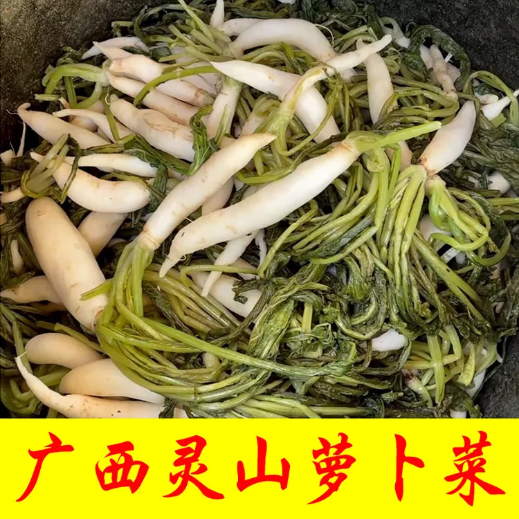 灵山特色好吃萝卜菜萝卜苗萝卜尾农家腌制下饭菜酸萝卜涮火锅食材