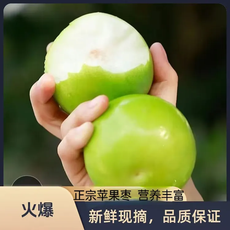 正宗云南西双版纳苹果枣脆甜爽口多汁新鲜水果孕妇水果当季水果