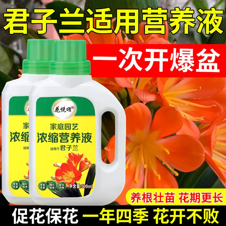 君子兰适用肥料营养液家用兰花养花有机肥料盆栽通用型促开花催花
