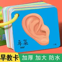 宝宝认知卡片0-3岁看图识认物早教卡动物卡片幼儿五官数字认知书