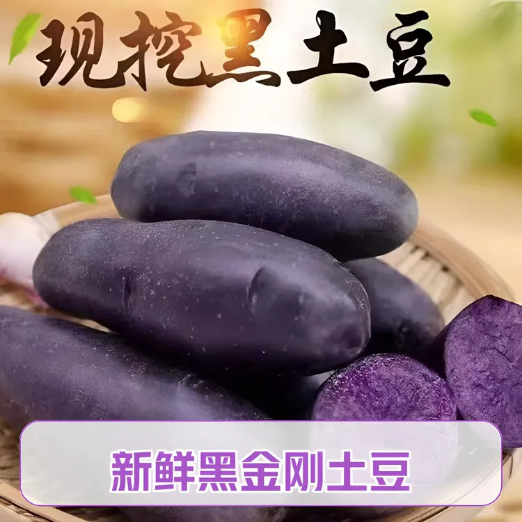 甘肃定西黑美人黑金刚土豆新鲜现挖马铃薯黑洋芋3斤5斤9斤黑土豆