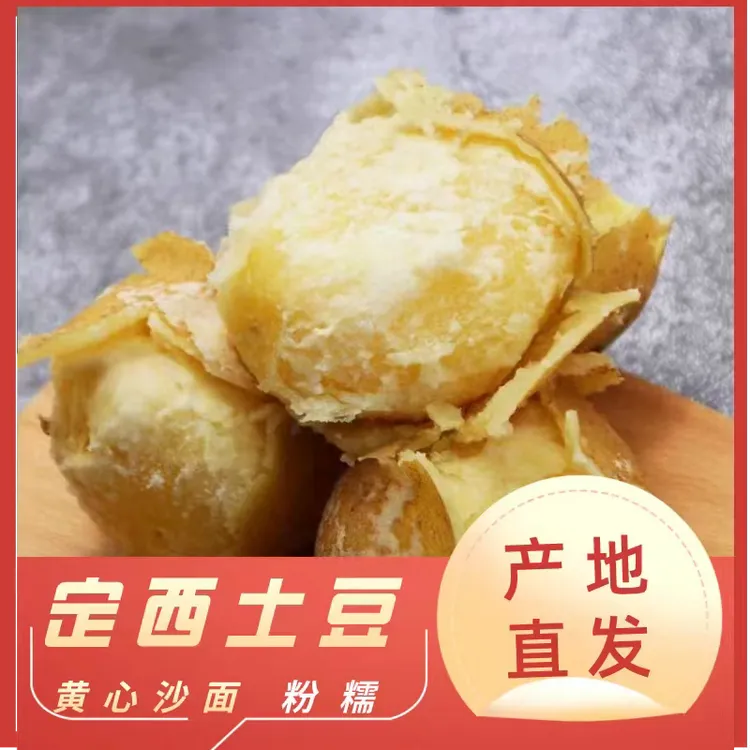 甘肃定西土豆现挖新鲜黄心沙面粉糯大土豆旱地农家种植马铃薯洋芋