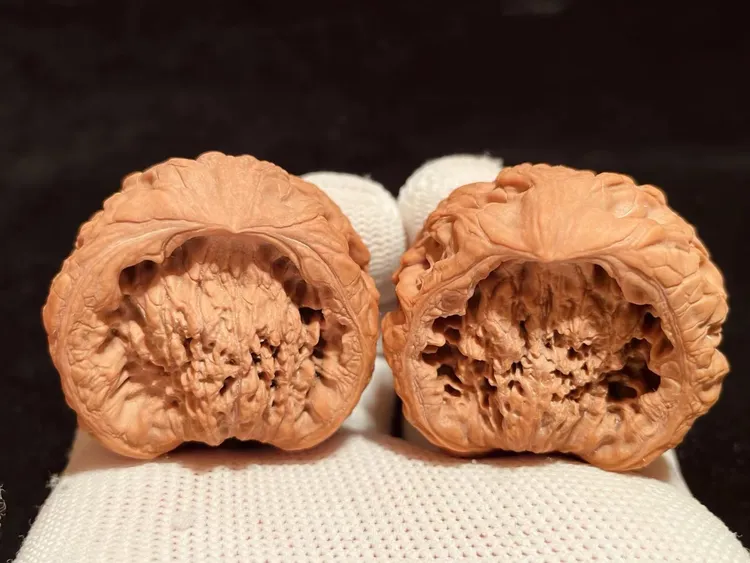 文玩桃核大蛇头文玩财源滚滚大尺寸精品异形聚宝盆大蛇头随机发