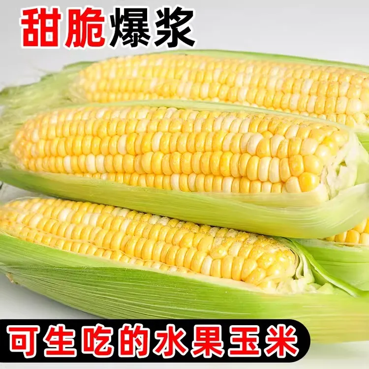 （新鲜现摘）广西高山水果玉米鲜嫩水果甜玉米6-9根5斤装