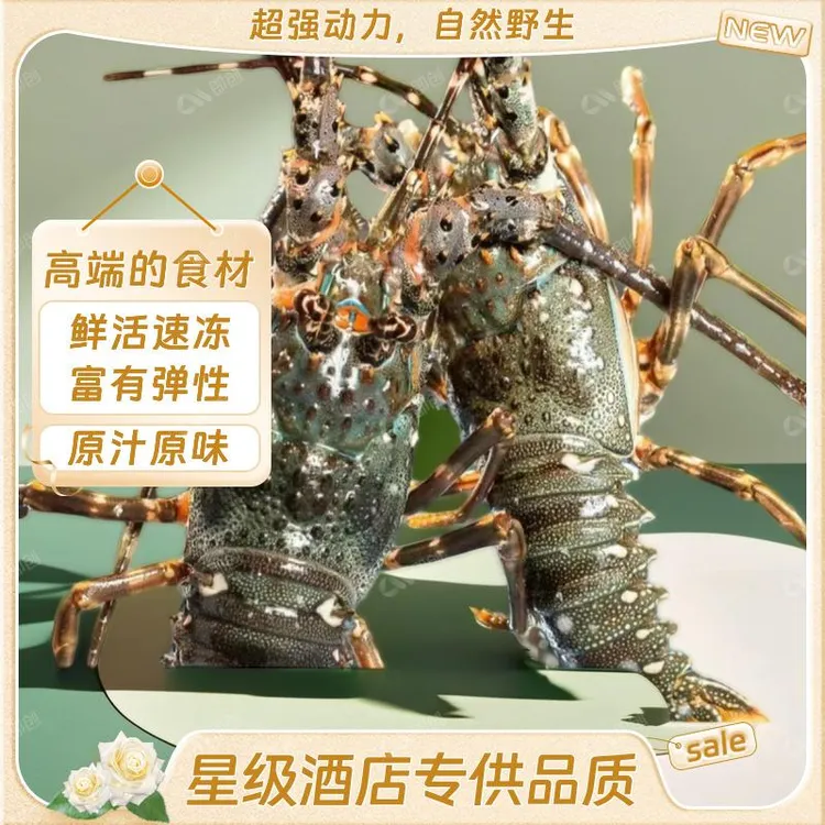 东山岛活冻小青龙海鲜鲜活速冻大青龙龙虾花龙古巴龙 