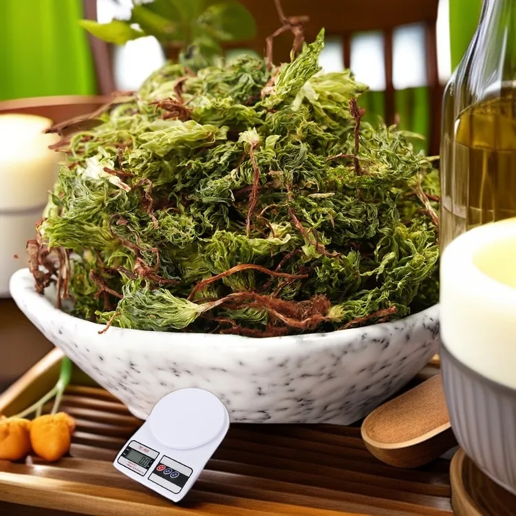 回心草中药500g云南野生茴心草干净清爽无灰新货大叶藓苍山回芯草