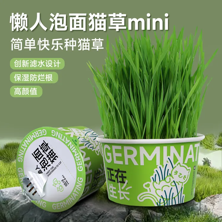 哈仔懒人泡面猫草创新滤水设计猫咪零食化毛排毛球懒人猫草mini
