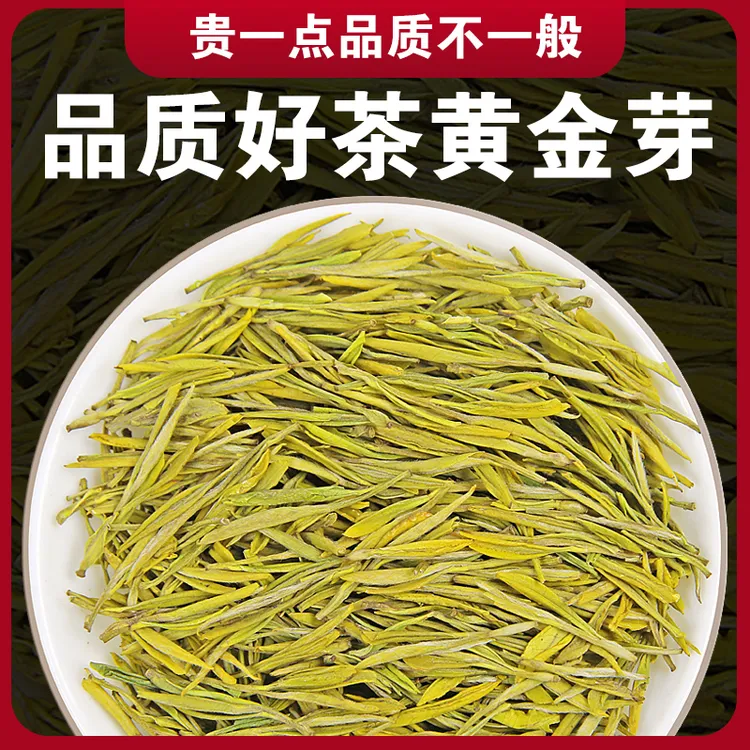 108正宗黄金芽2025珍稀春茶明前黄金芽高山绿茶礼盒茶叶袋装散装
