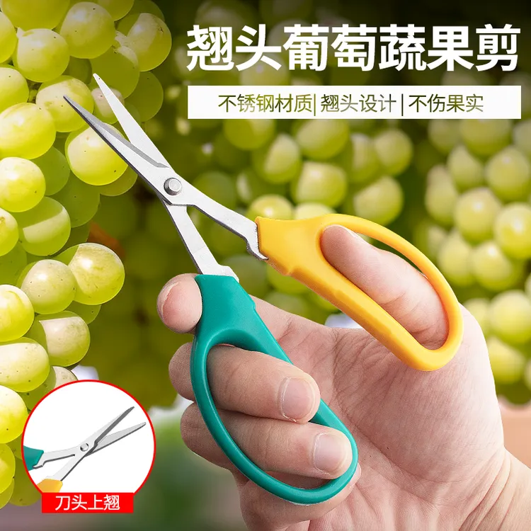 家用不锈钢蔬果葡萄园翘头摘果疏果园艺剪枝修花蔬果剪刀丰收季