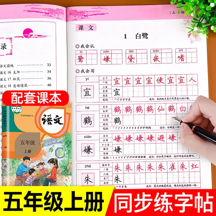五年级上册同步字帖语文同步练字帖人教版五上每日一练小学生专用
