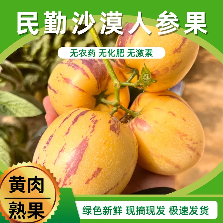 甘肃民勤人参果低糖多汁黄肉熟果带箱5斤大果新鲜采摘