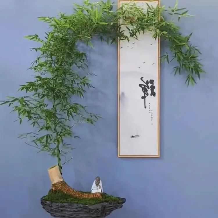 小叶簕竹根招财成品富贵竹根老桩绿植竹子客厅盆景月牙宝塔桩