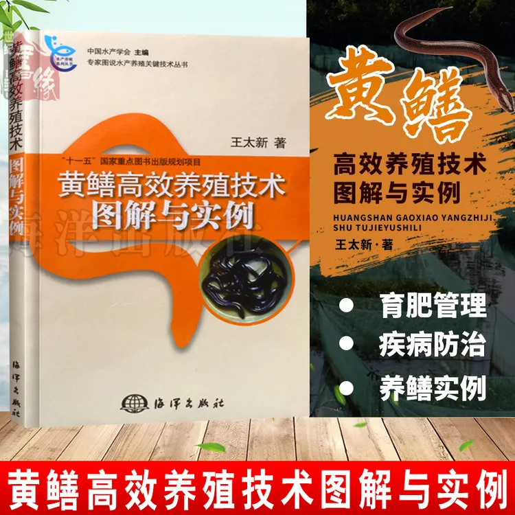 黄鳝高效养殖技术图解与实例水生物养殖书籍