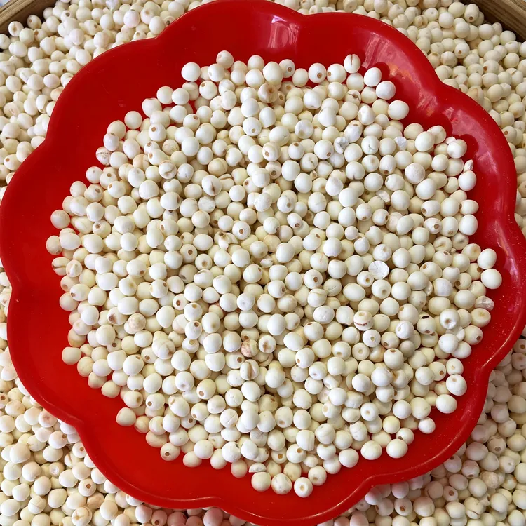 ［磨皮芡实干货］煮粥煲汤材料包无硫