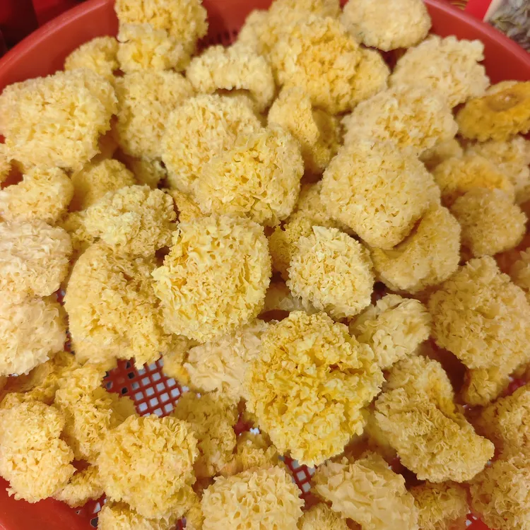 ［椴木银耳］无硫磺可炖可焖可搭配红枣枸杞