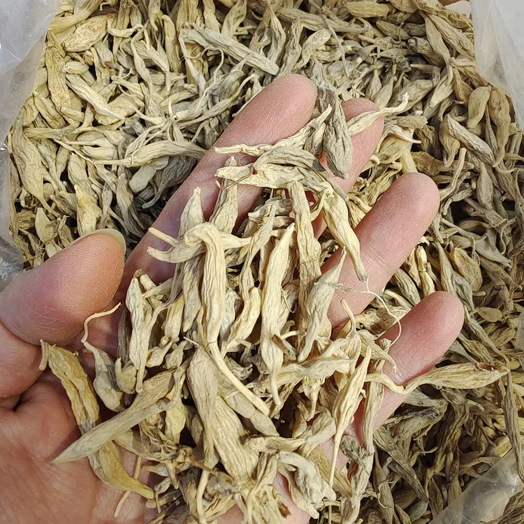 [78野生麦冬]小颗，渣可以吃皱皱的但是煮完会膨起来