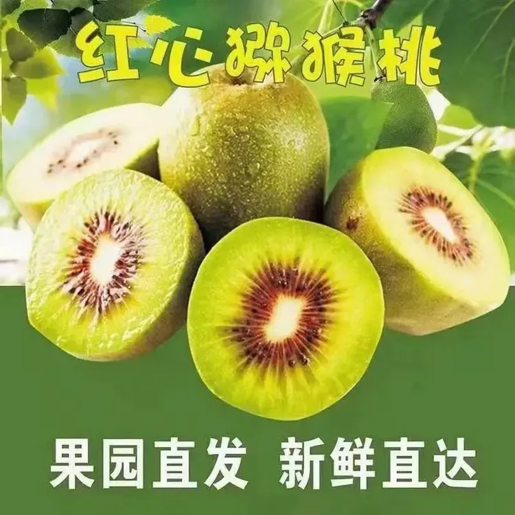 陕西眉县红阳猕猴桃 纯甜爆汁 现摘现发
