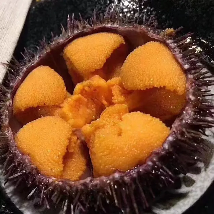 大连旅顺龙王塘鲜活夏夷马粪胆大个头一斤海胆3-5个海鲜
