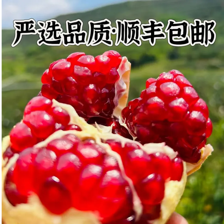 【2024会理石榴顺丰包邮】正宗会理软籽石榴新鲜采摘当季孕妇水果