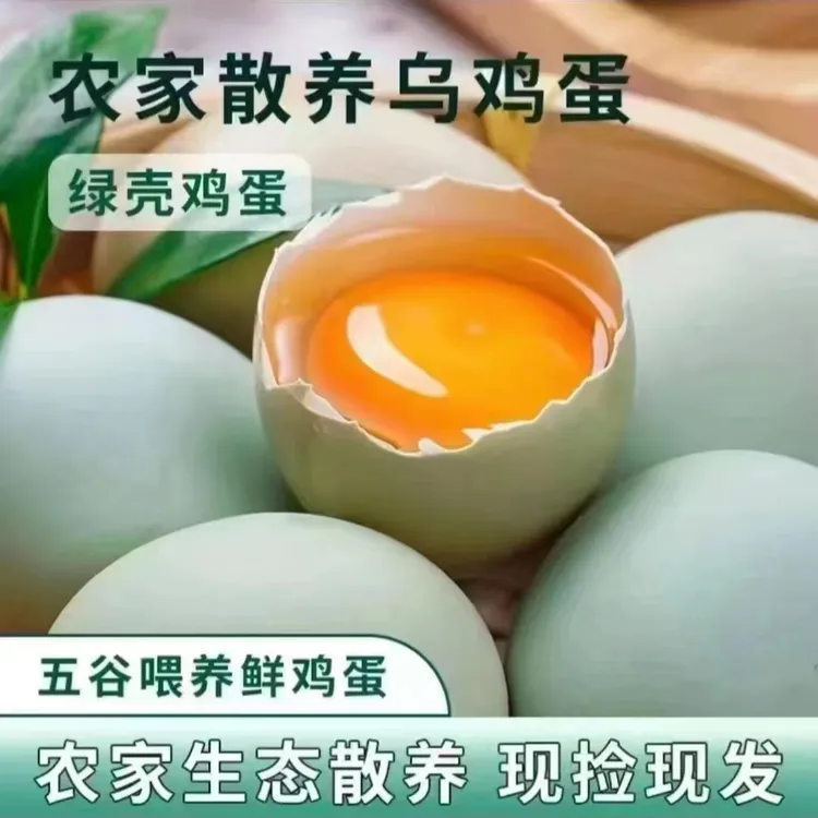 【守乡姐弟】小吴家高山散养粮食喂养的绿壳鸡蛋