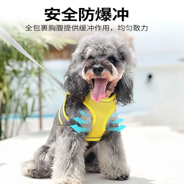 狗狗牵引绳背心小型背带透气比熊泰迪博美幼犬小狗遛狗绳狗链子