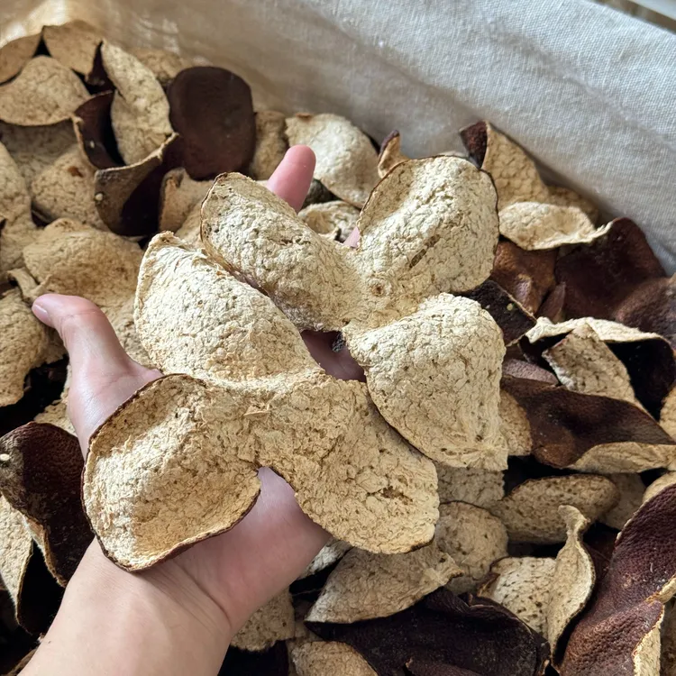 新会东甲2019年牛比围圈枝二红转大红（糯香，甘甜，甜口）