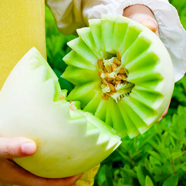 我是不白吃山东玉菇甜瓜4.5斤起 冰淇淋般口感当季水果新鲜(送勺)