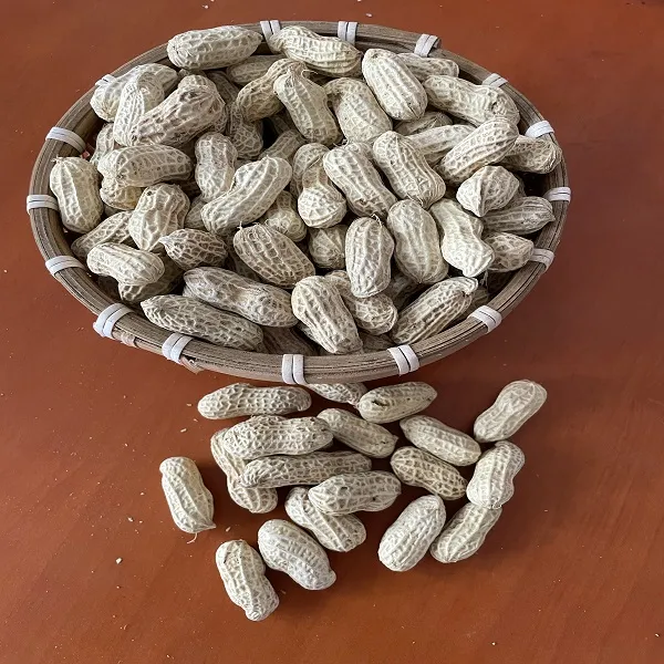 2025新广东河源忠信勾嘴日晒水煮花生软糯鲜香甜休闲零食坚果花生