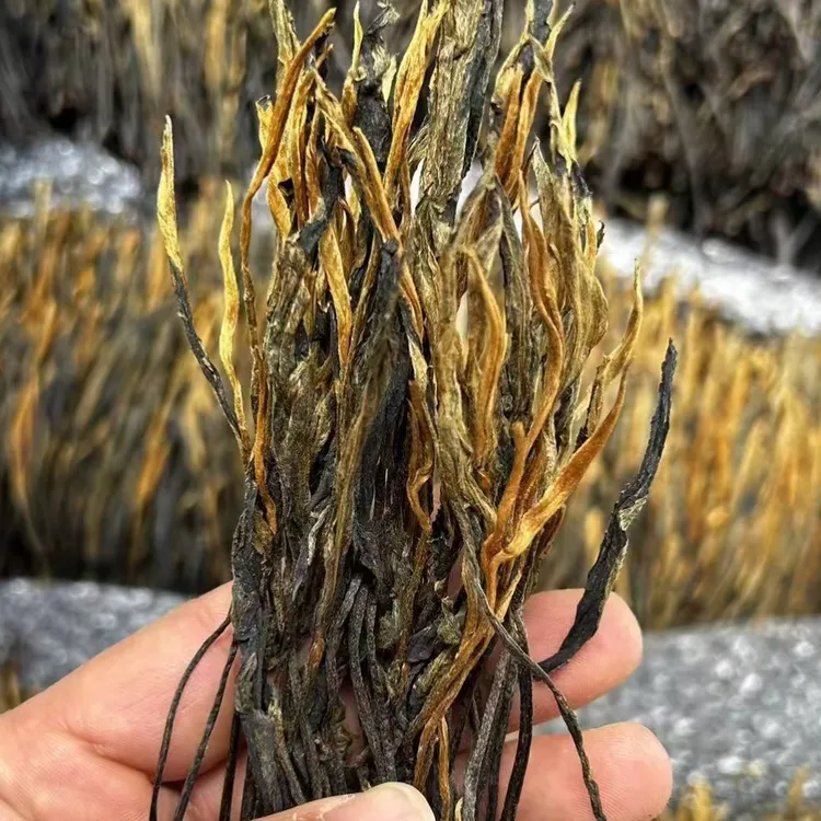 茶叶云南滇红茶 金枝玉叶 直条红茶散茶150克罐装特级