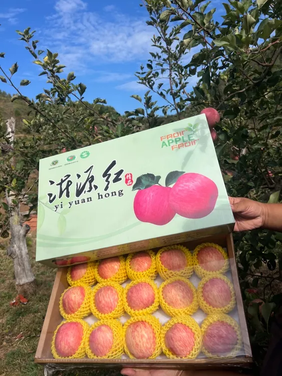 山东沂源沂源红苹果水果礼盒装