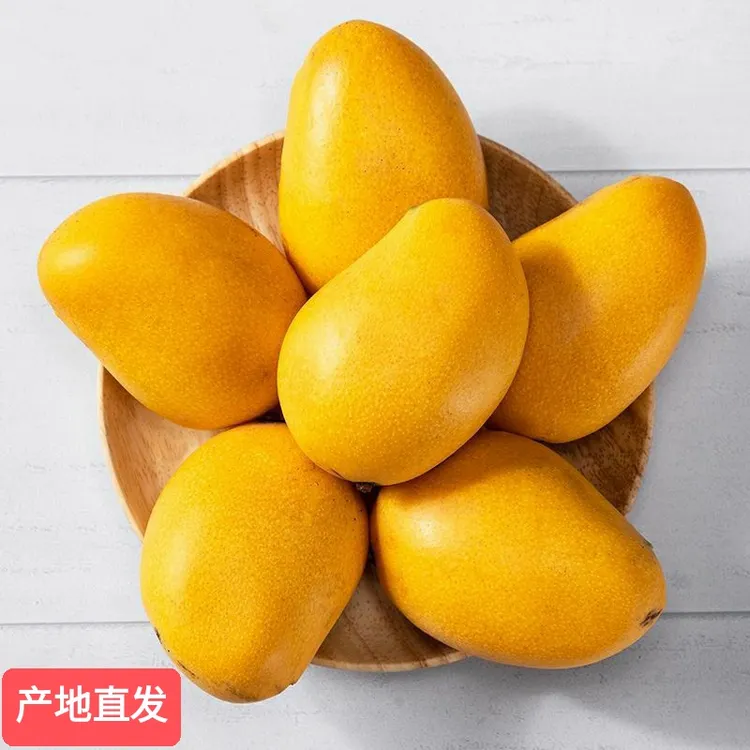 【产地直供】海南小台农芒果5斤新鲜小台芒应季水果现摘热带水果