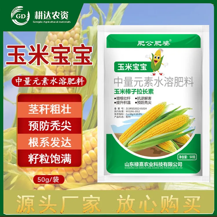 玉米宝宝玉米专用籽粒饱满生根壮苗抗倒伏增产氨基酸叶面肥