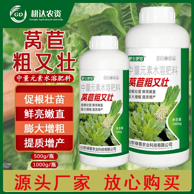 粗又壮莴苣拉长嫩绿直粗壮鲜亮预防氨基酸空心大蒜裂果专用叶面肥