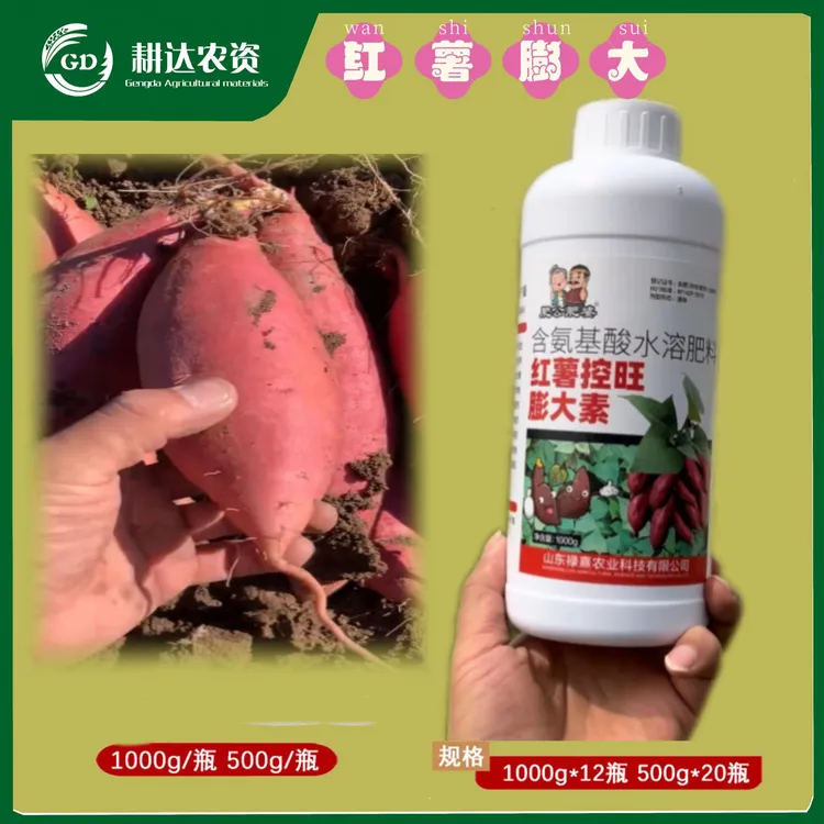 红薯控旺膨大增产农肥结的多长得大薯块均匀防裂果叶面喷施产量高