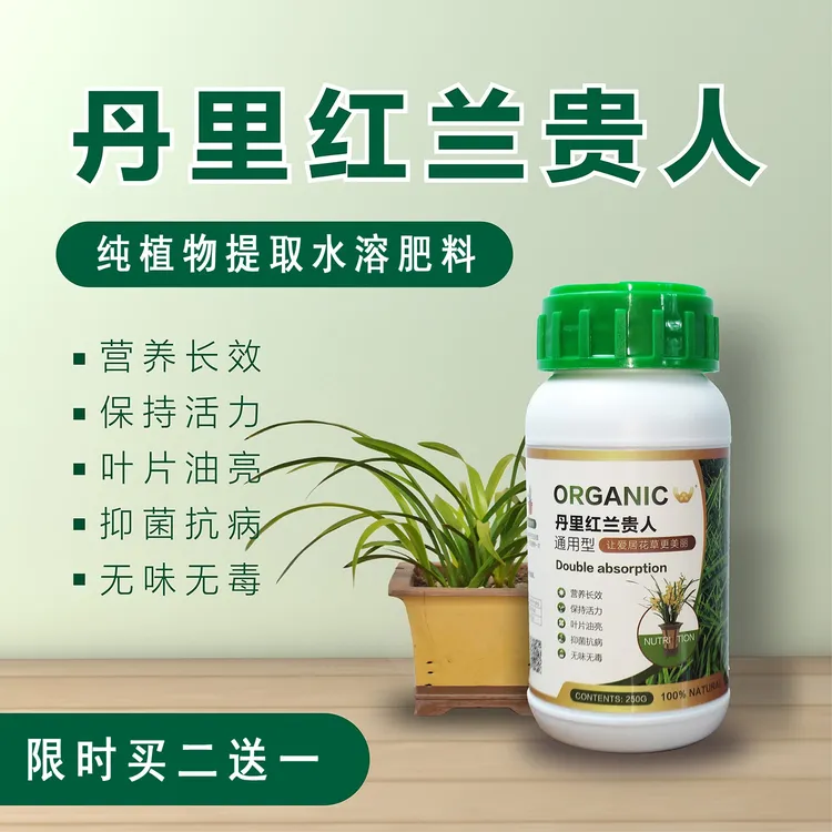 丹里红兰贵人 家居园艺浓缩营养液 绿植花卉盆栽通用型 保持活力