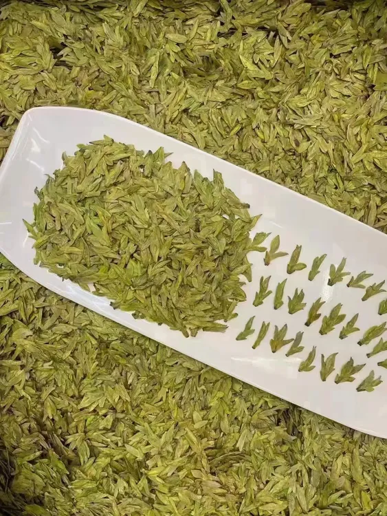 【B 570】龙井茶【高豆香 蝴蝶芽】