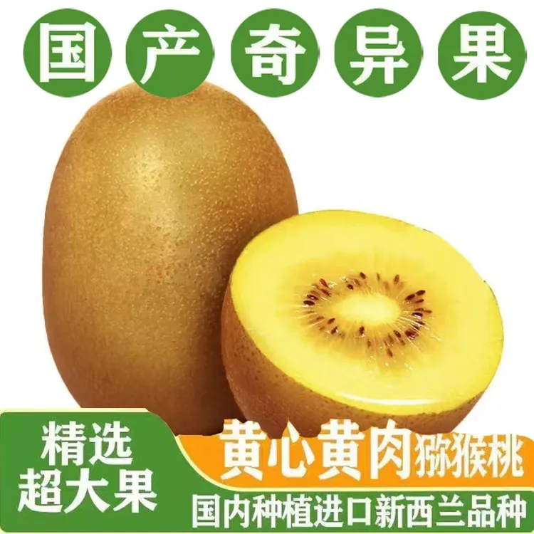 【顺丰包邮】G3阳光金果黄心猕猴桃新鲜营养香甜高山8-16枚礼盒