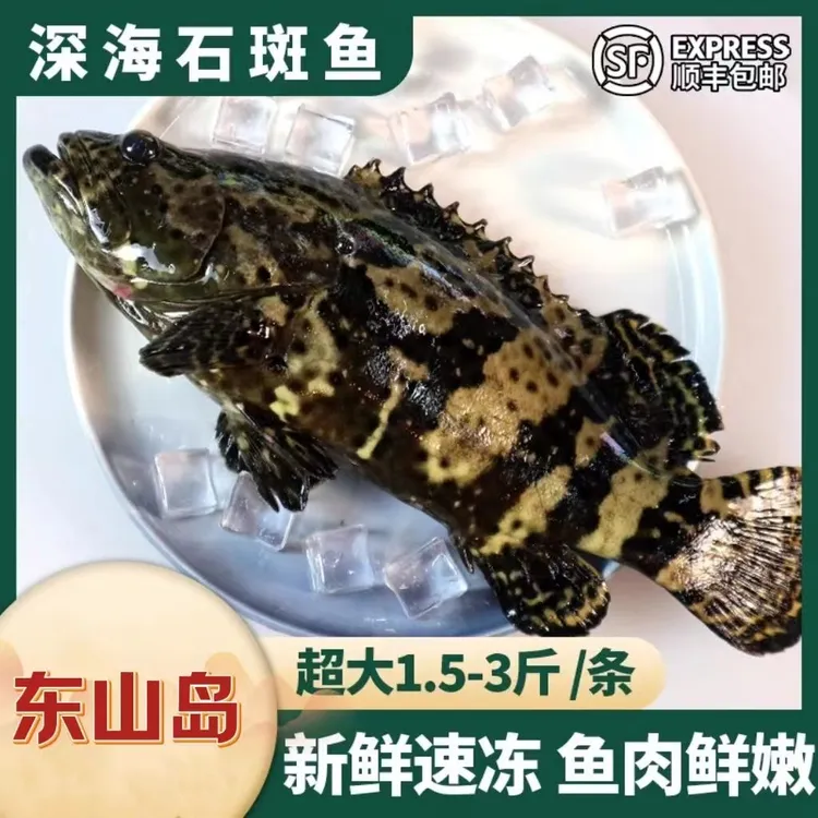 【顺丰空运】深海龙胆石斑鱼新鲜活冻肉质鲜美高档海鲜3-8斤