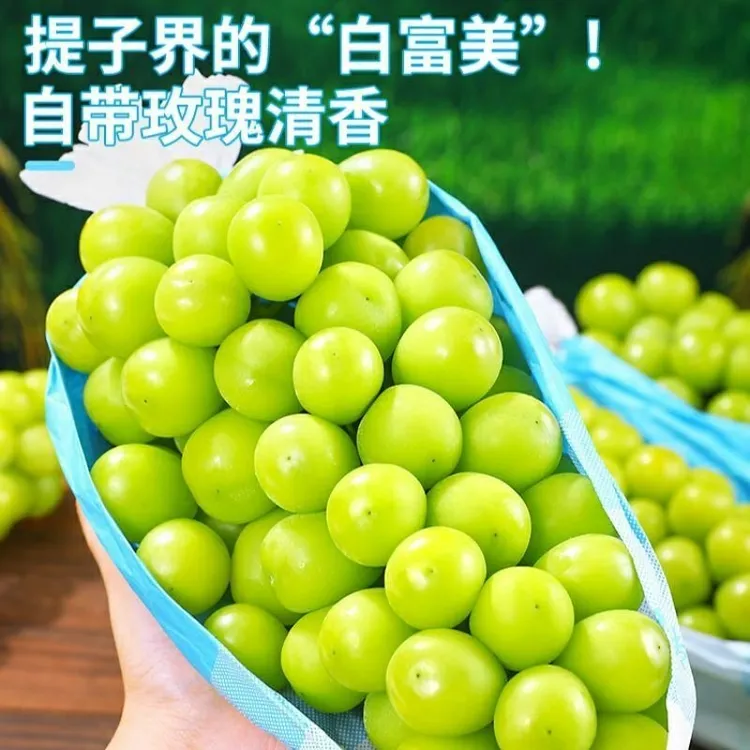 新鲜整串阳光玫瑰晴王葡萄香印青提子大果当季水果整箱批发包邮