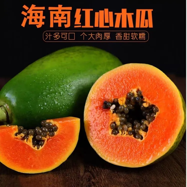 树上熟红心木瓜大青新鲜水果现摘3/5/9斤整箱木瓜牛奶红心瓜