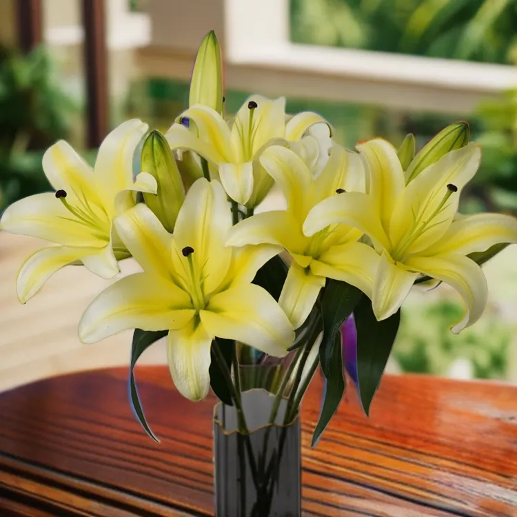 【黄天霸】香水百合云南直发水养家用插瓶花卉鲜花批发新鲜顺丰包邮