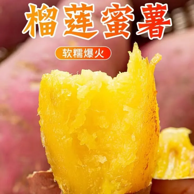 地瓜星球7号[榴莲蜜薯]甜糯无丝
