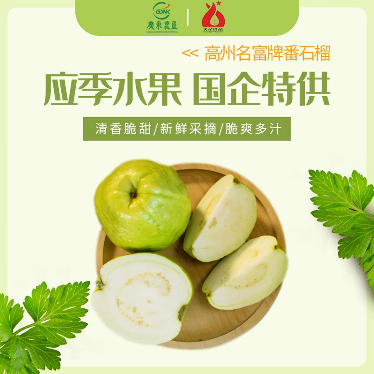 广东农垦名富牌有机珍珠番石榴、白心芭乐、脆甜松口、应季水果包邮