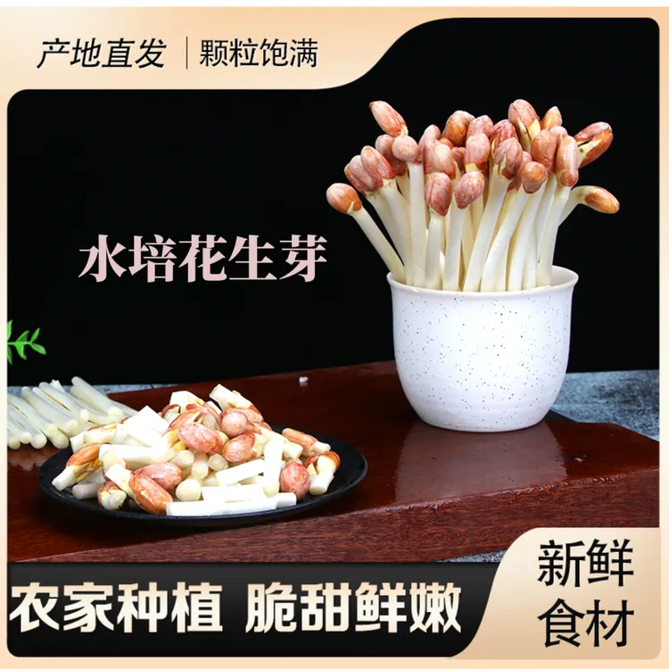 【新人福利】天然水培花生芽现采新鲜蔬菜食用芽苗菜火锅沙拉好伴侣