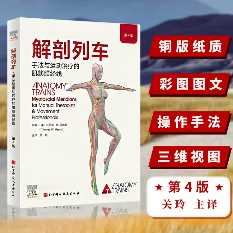 解剖列车徒手与动作治疗的肌筋膜经线 第4版 关玲 主译