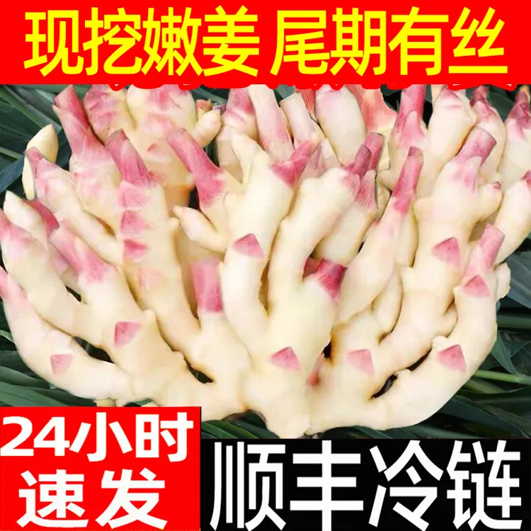 山东嫩姜新鲜顺丰包邮大仔姜子姜红芽姜指头生姜5非云南小黄姜